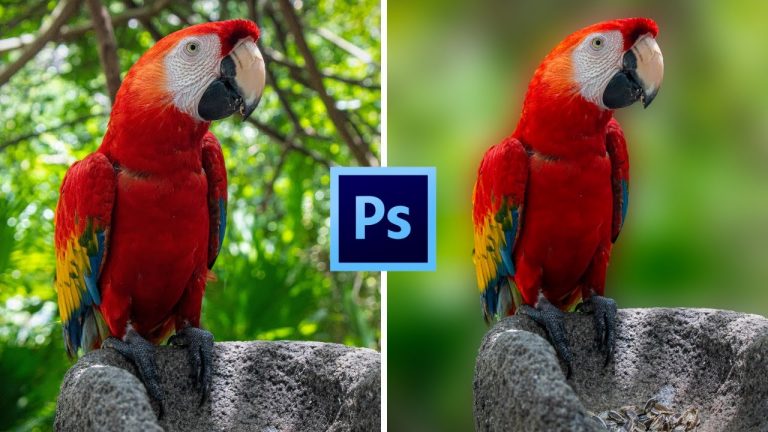 Crée un Flou d’Arrière-plan Original avec Photoshop | Simple et Efficace